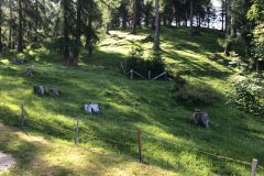 FT_20220619_143132